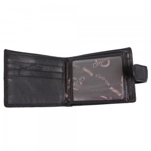 YL Мужское портмоне Catiroya  L506-207