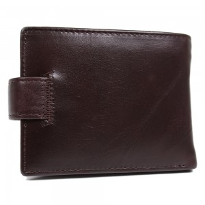YL Мужское портмоне Catiroya L541-207