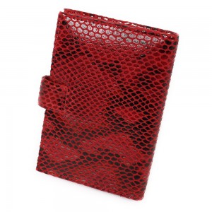 YG-080 Обложка на автодокументы с паспортом Nina Farmina 9320-116